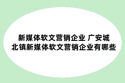 新媒体软文营销企业 广安城北镇新媒体软文营销企业有哪些